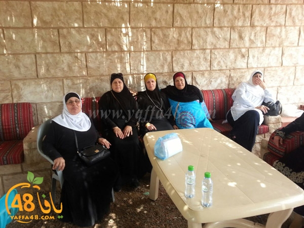 mo3tmreen yfasafa3 (10).JPG